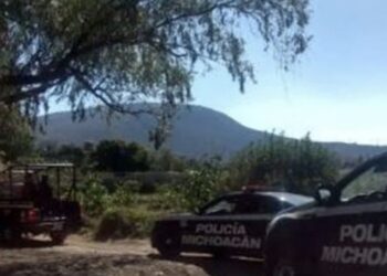 Al llegar a su casa, el perro sorprendió a sus amos, quienes de inmediato reportaron el hecho a las autoridades.