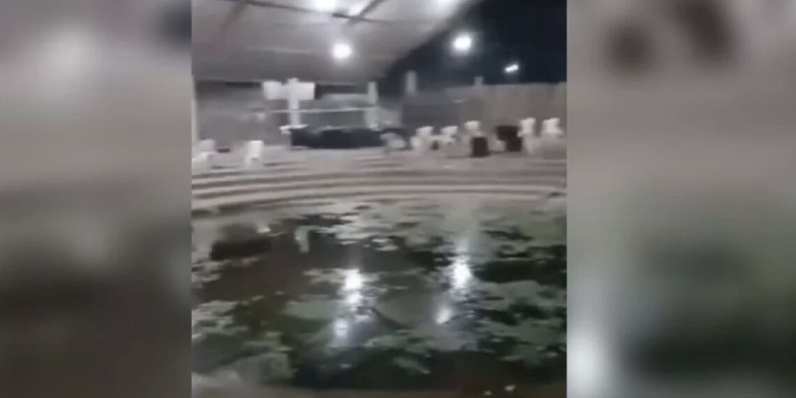 La Fiscalía de Guerrero dio a conocer que inició una investigación para identificar y responsabilizar a los involucrados en el homicidio doloso con arma de fuego.