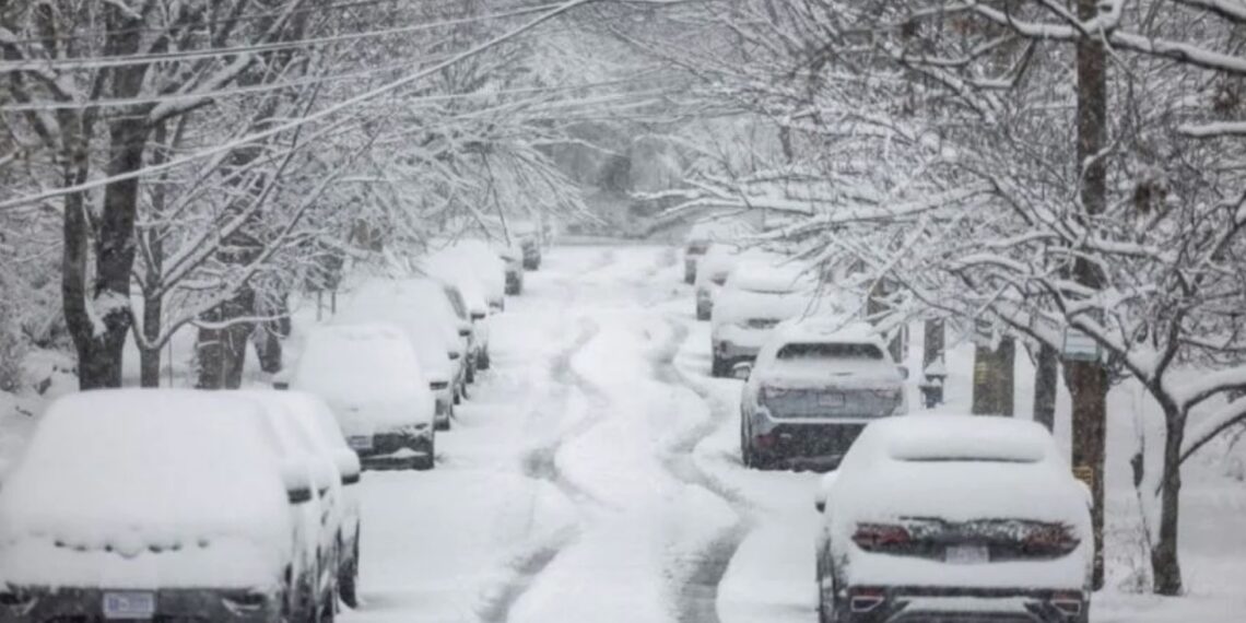 Meteorólogos texanos han advertido que durante los próximos días las mañanas serán extremadamente frías.