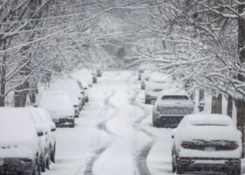 Meteorólogos texanos han advertido que durante los próximos días las mañanas serán extremadamente frías.