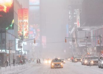 Grandes partes de Nueva York, con su famoso Central Park a la cabeza