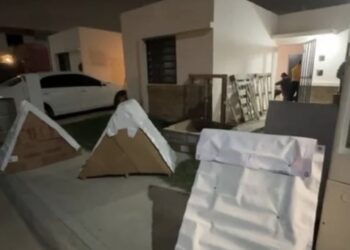 Un grupo de ciudadanos se unió a una iniciativa para construirle casitas a los perros sin hogar que transitan las calles; la idea fue de la dueña de un negocio para mascotas