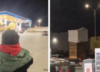 Los pequeños saltaron y aplaudieron de emoción al encontrarse con el animal