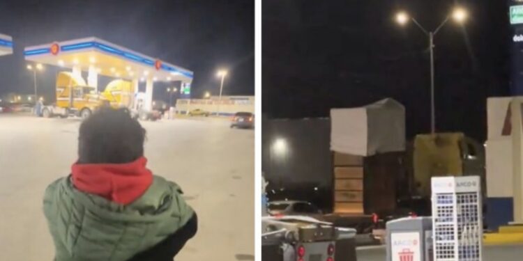 Los pequeños saltaron y aplaudieron de emoción al encontrarse con el animal