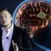 Neuralink quiere conectar cerebros humanos a computadores y ayudar a tratar afecciones neurológicas.