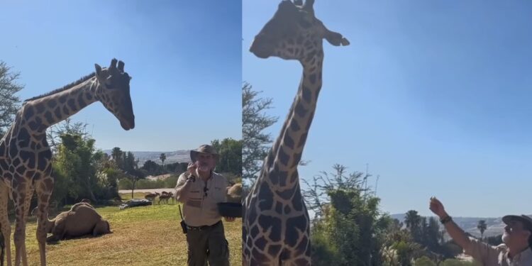 En un transmisión en vivo, Frank Carlos Camacho, director de este parque, contó algunos detalles de la estancia de Benito