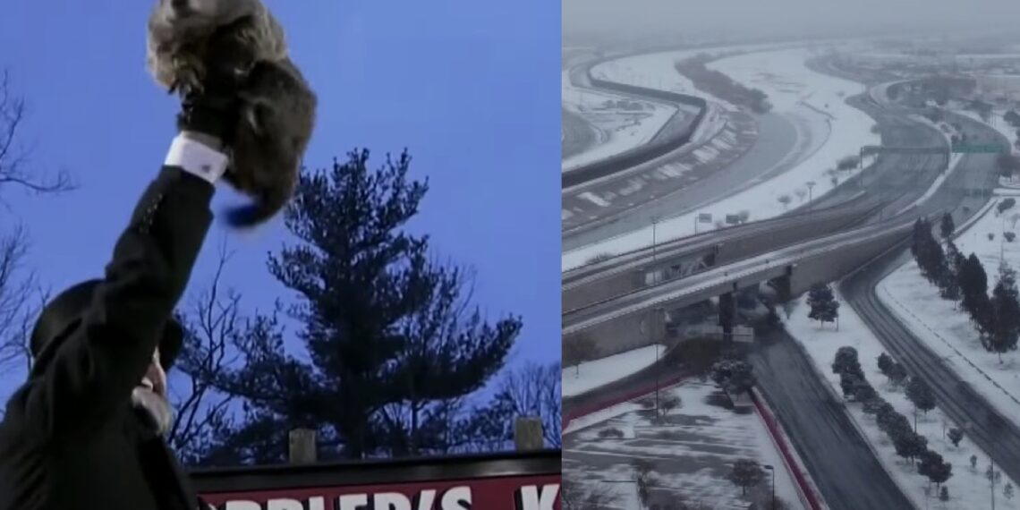 El 'meteorólogo' más popular y menos preciso de EE.UU. ha dado su pronóstico en Punxsutawney