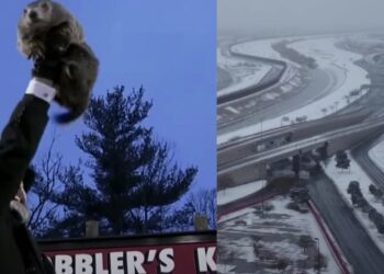 El 'meteorólogo' más popular y menos preciso de EE.UU. ha dado su pronóstico en Punxsutawney