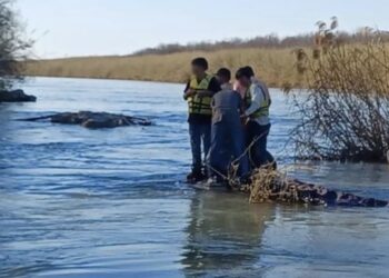 Los migrantes, que quedaron atrapados en el lago, eran originarios de Brasil, Honduras, El Salvador y México.
