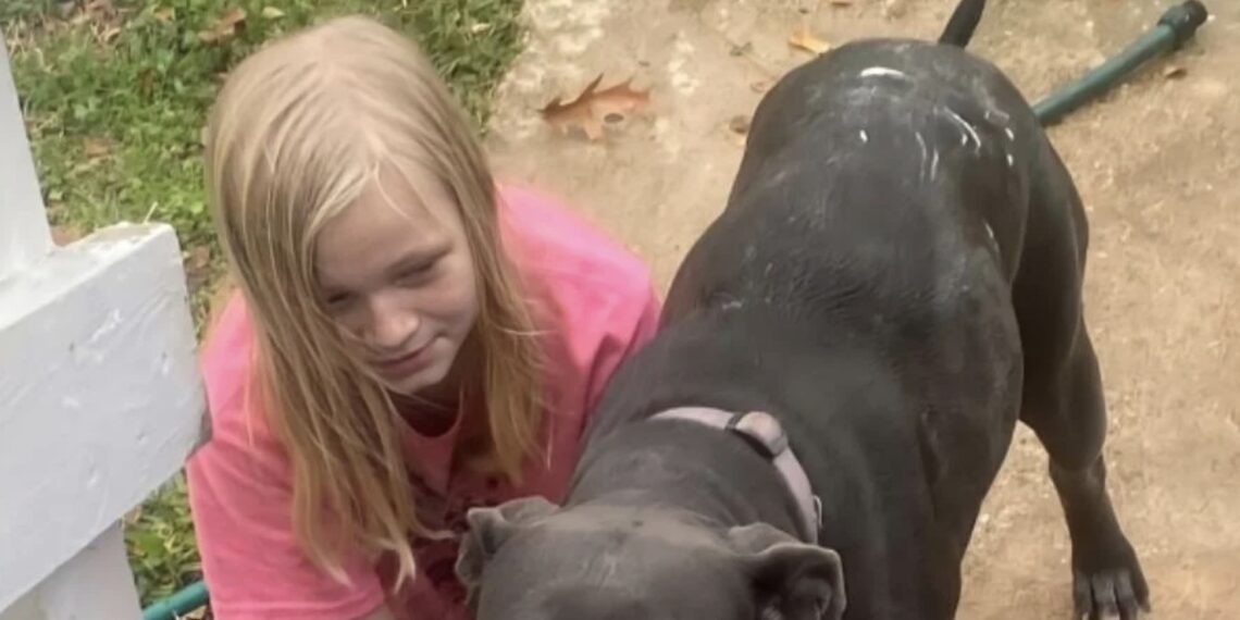 Don Steven McDougal, amigo de la familia y vecino, es el principal sospechoso del crimen.