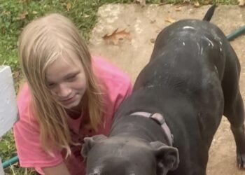 Don Steven McDougal, amigo de la familia y vecino, es el principal sospechoso del crimen.