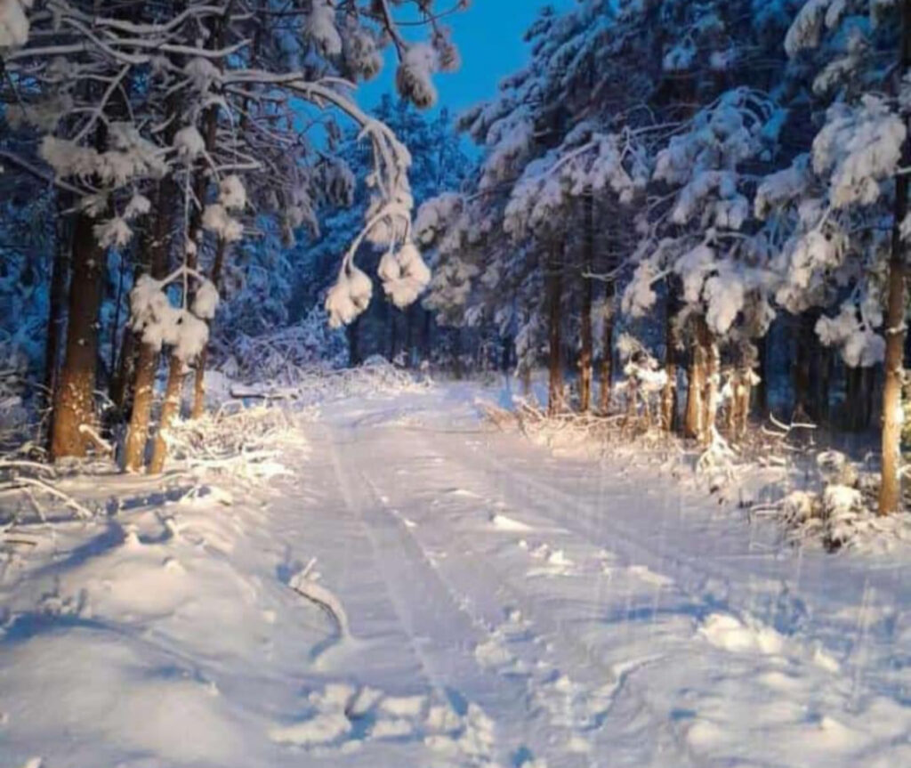 Nevadas dejan su huella en Guadalupe y Calvo. Noticias en tiempo real