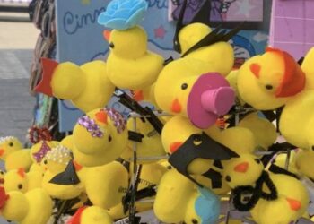 Presencia de los patitos se intensificó