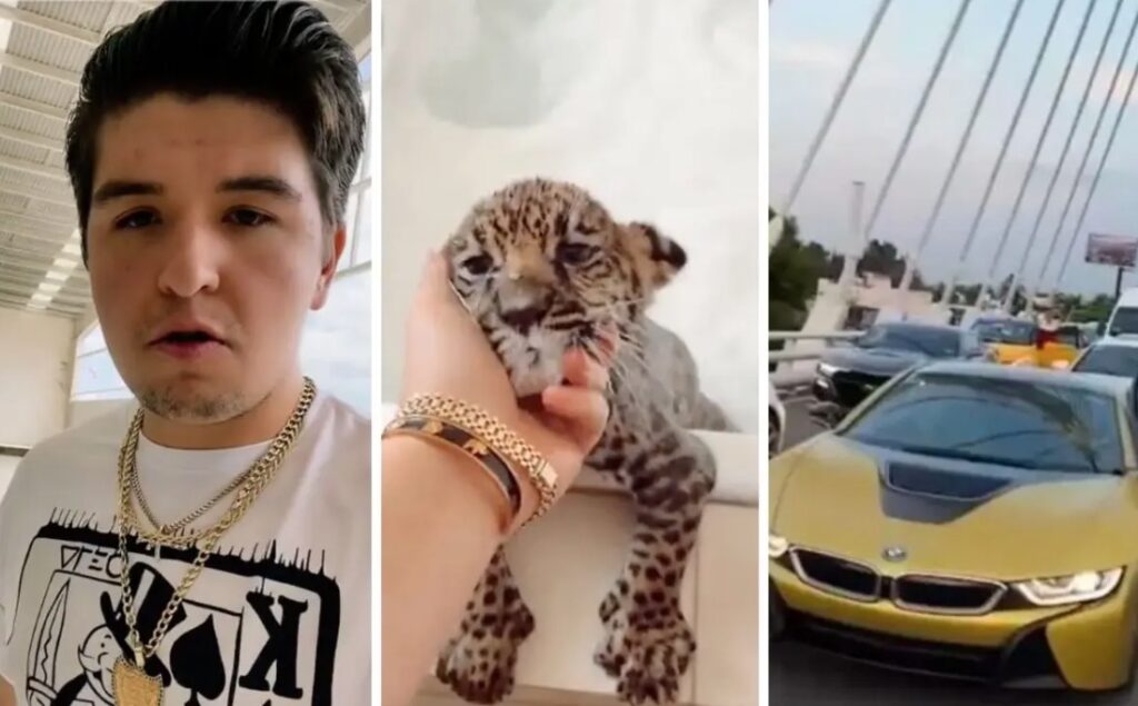 Las controversias de ‘Fofo’ Márquez: acusado de adulterar bebidas; tener jaguar como mascota, cerrar puente…. Noticias en tiempo real