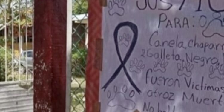 También se investiga al subdirector de la escuela y a un maestro de Educación Física.