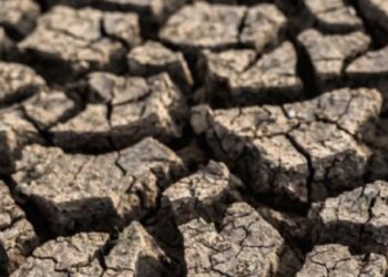 El gobernador expresó su preocupación y mencionó que se han implementado medidas como dragados y la apertura de canales cerrados para mejorar el suministro.