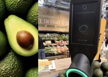 En redes sociales un usuario compartió un video en el que explica cómo usar la máquina para comprobar si un aguacate está en condicones de comerse o no.