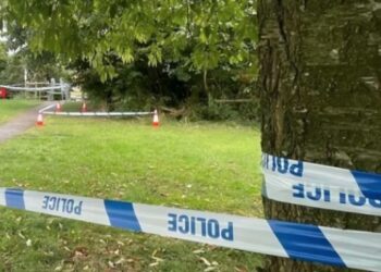 El adulto mayor murió en un hospital cercano tras ser agredido mientras caminaba con su perro.