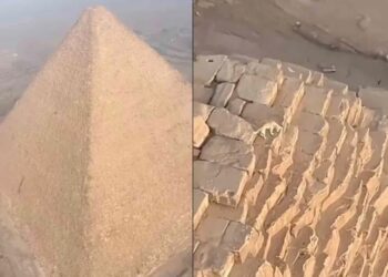 Un parapentista tuvo un momento verdaderamente extraño cuando avistó a un perrito deambulando por la cima de la Gran Pirámide de Giza, ladrando a los pájaros.