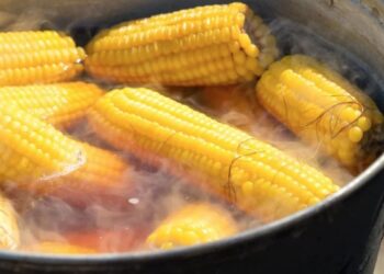 Un hombre y su hijastro regresaban de vender elotes cuando fueron golpeados por un vehículo en plena avenida.