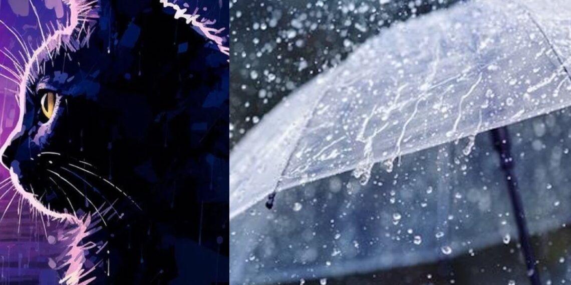 Moisés Cruz compartió un video que dejó impactados a muchos tras presumir su disfraz de la lluvia en Monterrey.