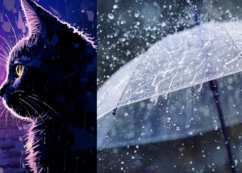 Moisés Cruz compartió un video que dejó impactados a muchos tras presumir su disfraz de la lluvia en Monterrey.