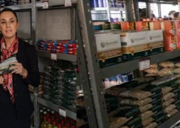 Un mes después de asumir la presidencia, Claudia Sheinbaum lanza un plan para apoyar a familias mexicanas con productos de la canasta básica a precios accesibles y sin intermediarios.