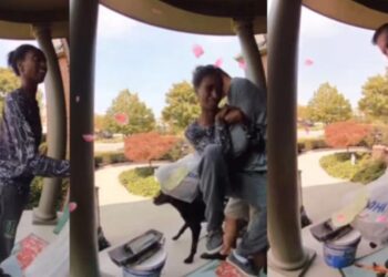 Un video en Instagram ha conquistado a los internautas al mostrar una escena inusual durante una entrega de comida