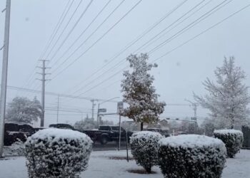 Se esperan varios centímetros de nieve en las zonas más bajas