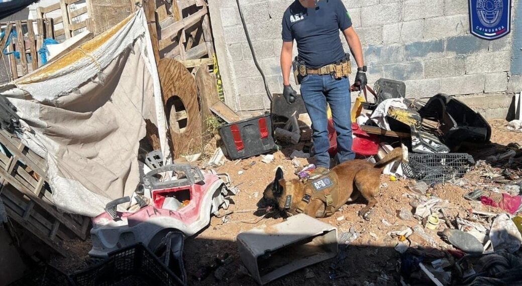 Los mandatos judiciales se cumplimentaron en Urbivilla del Cedro y Finca Bonita