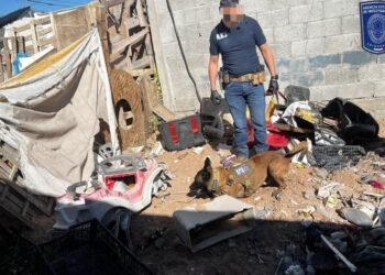 Los mandatos judiciales se cumplimentaron en Urbivilla del Cedro y Finca Bonita