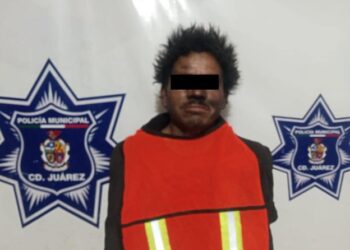 Arrestan a sujeto por delitos contra el medio ambiente