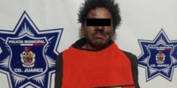 Arrestan a sujeto por delitos contra el medio ambiente