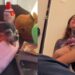 Un reciente vídeo a conmovido a millones de personas; el último día de una perrita.
