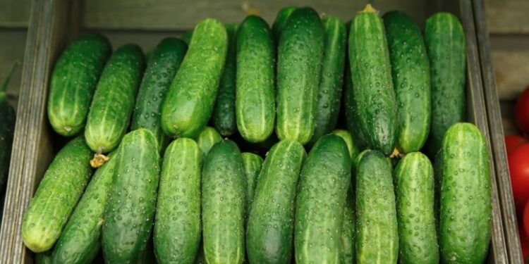 Los frutos fueron cultivados por Agrotato, S.A. de C.V en el estado de Sonora.