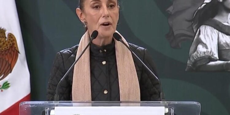 La mandataria celebró este hecho, ya que ahora la reforma constitucional, incluye el término 'presidenta'.