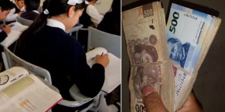 Uno de los programas que se crearon con la llegada de la administración de la presidenta Claudia Sheinbaum Pardo