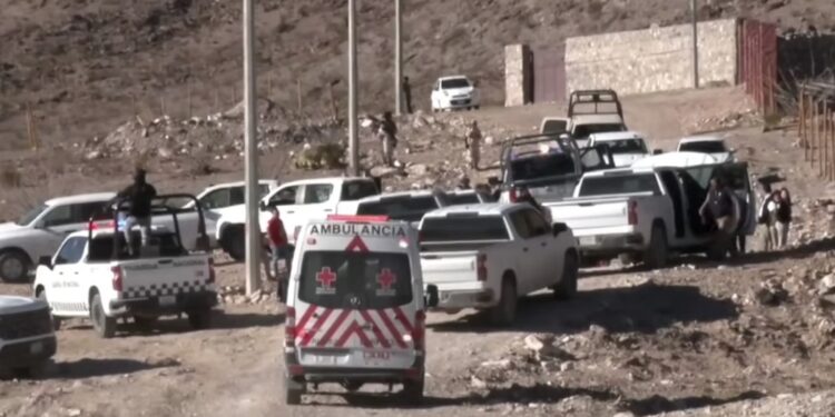 Tras este asesinato, hubo un total de tres personas detenidas uno originario de Colombia y dos de Venezuela.