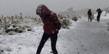 ¿Qué estados sufrirán las peores heladas con temperaturas de -15 grados en México a partir de HOY?