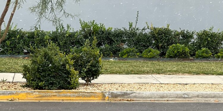 Las autoridades han emitido recomendaciones para la población, instando a extremar precauciones