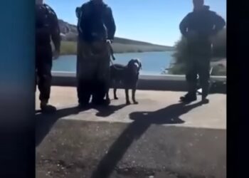 “Conocemos la put... seguridad en ambos lados”, respondieron al ser cuestionados sobre sus labores.