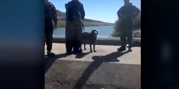 “Conocemos la put... seguridad en ambos lados”, respondieron al ser cuestionados sobre sus labores.