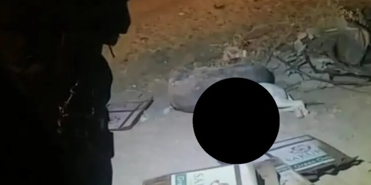 El perrito sufrió maltrato animal por parte de dos menores de edad que le colocaron pirotecnia en el hocico.