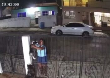 La mujer puso al cachorro en venta por medio de un perfil en Facebook.