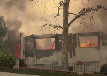 Las condiciones climáticas adversas, con fuertes vientos y sequía, han facilitado la rápida propagación del fuego