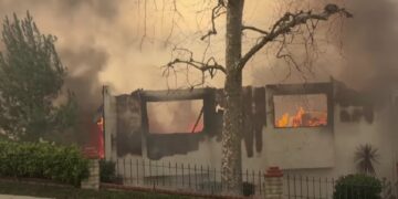 Las condiciones climáticas adversas, con fuertes vientos y sequía, han facilitado la rápida propagación del fuego