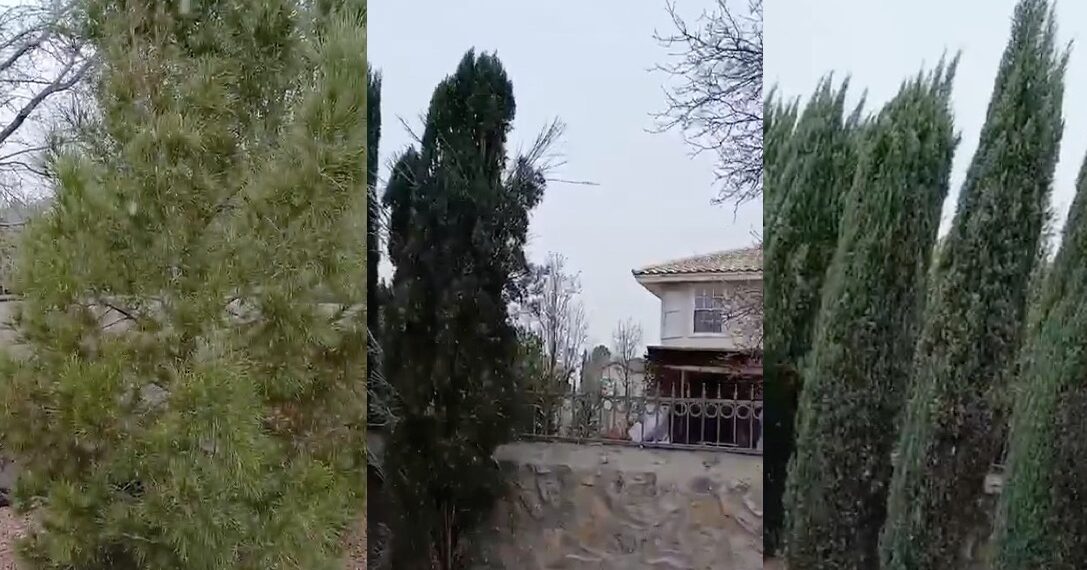 Actualmente, en El Paso, Texas, se están registrando chubascos de nieve.