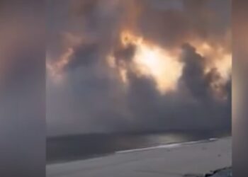 Los incendios forestales en el área de Los Ángeles han alcanzado niveles alarmantes, con al menos 24 personas fallecidas y más de 16,000 hectáreas arrasadas.