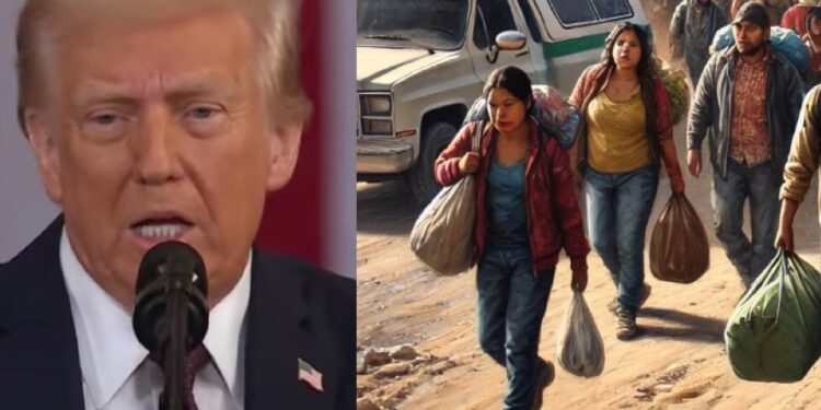 Además del apoyo económico, la presidenta Claudia Sheinbaum ha asegurado que se ofrecerán empleos y acceso a programas sociales