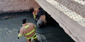 Bomberos rescatan a un perrito atrapado en la acequia madre